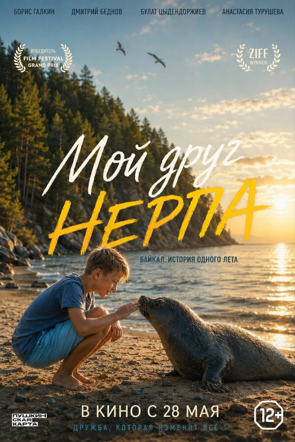 Мой друг нерпа (2025) - смотреть онлайн